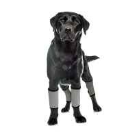 Dog Wrist Brace Carpal Protector Post Surgery Injury