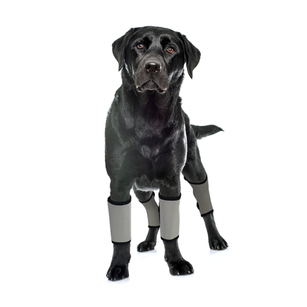 Dog Wrist Brace Carpal Protector Post Surgery Injury