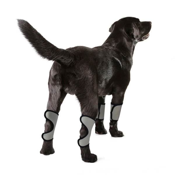 Dog Wrist Brace Carpal Protector Post Surgery Injury