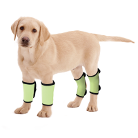 Dog Wrist Brace Carpal Protector Post Surgery Injury