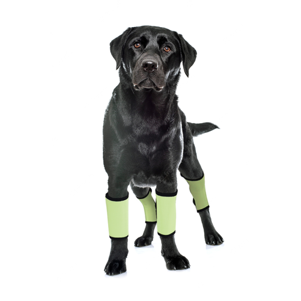 Dog Wrist Brace Carpal Protector Post Surgery Injury