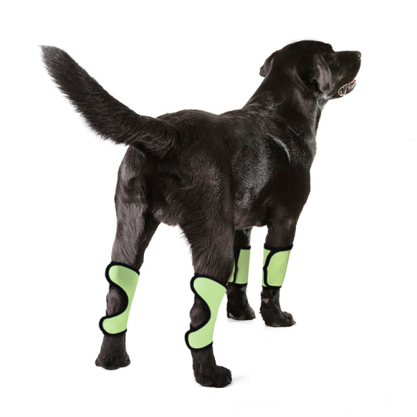 Dog Wrist Brace Carpal Protector Post Surgery Injury