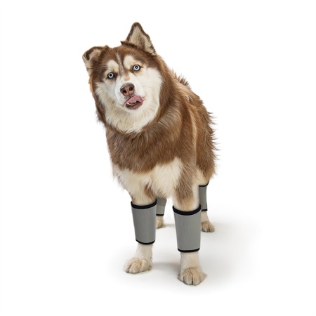Dog Wrist Brace Carpal Protector Post Surgery Injury