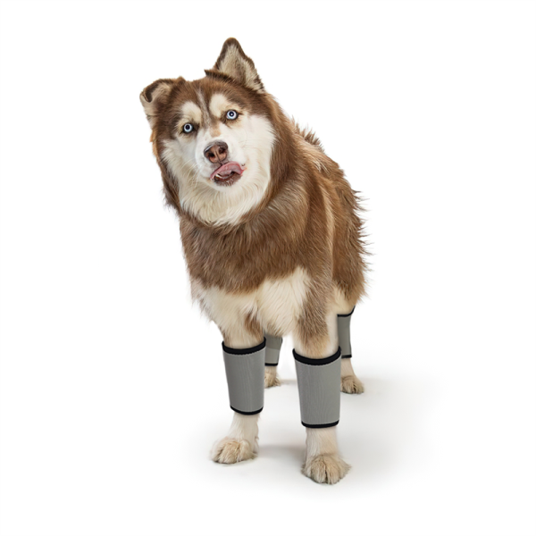 Dog Wrist Brace Carpal Protector Post Surgery Injury