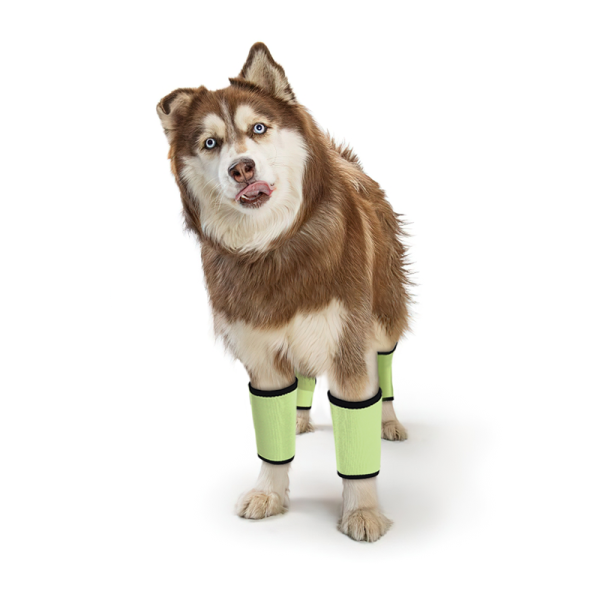 Dog Wrist Brace Carpal Protector Post Surgery Injury