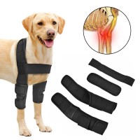 Elbow Brace for Dog Post Elbow Surgery Injury