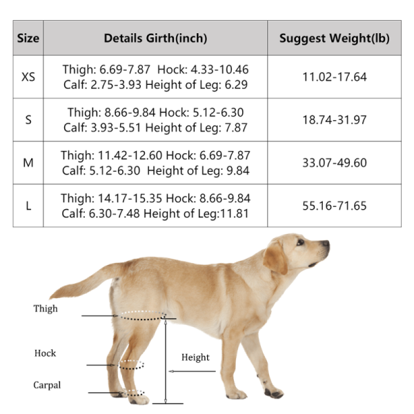 Dog Brace for Torn ACL Post Surgery Injury