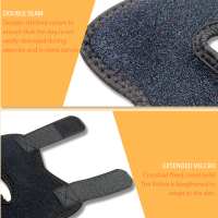 Dog Hock Ligament Wrap Brace