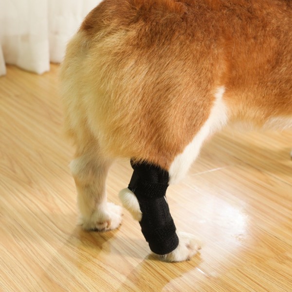 Dog Rear Leg Hock Brace