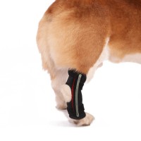 Dog Rear Leg Hock Brace