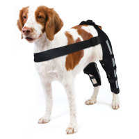 Dog Brace for Torn ACL Post Surgery Injury