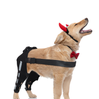 Dog Brace for Torn ACL Post Surgery Injury