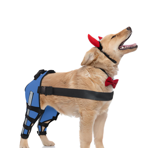 Dog Brace for Torn ACL Post Surgery Injury