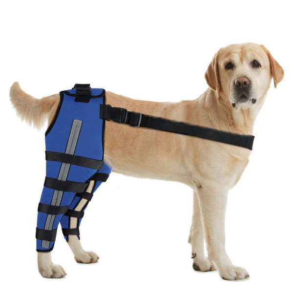 Dog Brace for Torn ACL Post Surgery Injury