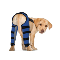 Dog Brace for Torn ACL Post Surgery Injury