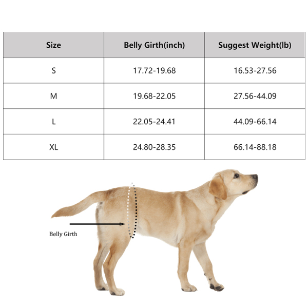 Dog Support Harness Rear End
