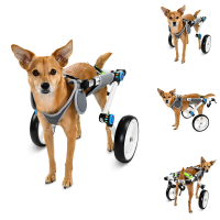 Dog Wheelchair for kitty Canine