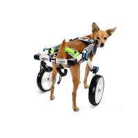Dog Wheelchair for kitty Canine