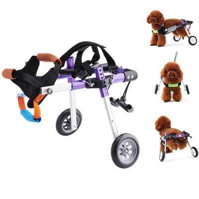 Dog Wheelchair for Paralyzed Dogs