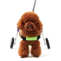 Dog Wheelchair for Paralyzed Dogs