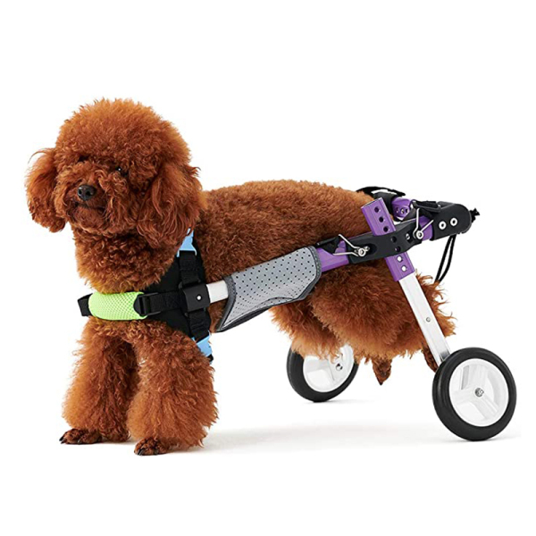 Dog Wheelchair for Paralyzed Dogs