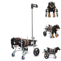 Dog Wheelchair for Paralyzed Elder Dogs