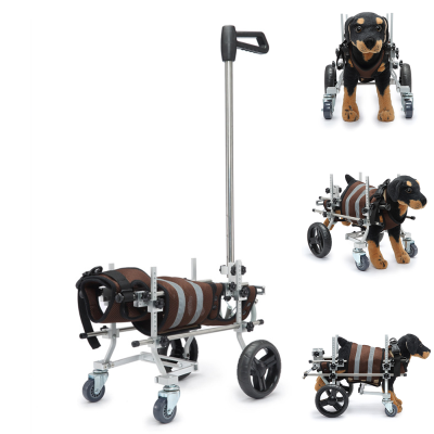 Dog Wheelchair for Paralyzed Elder Dogs