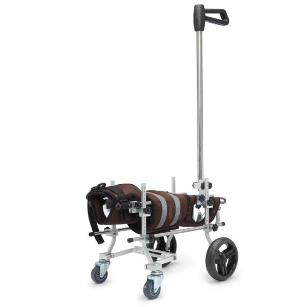 Dog Wheelchair for Paralyzed Elder Dogs