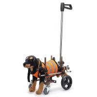 Dog Wheelchair for Paralyzed Elder Dogs
