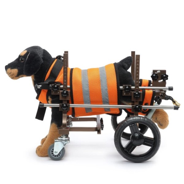Dog Wheelchair for Paralyzed Elder Dogs