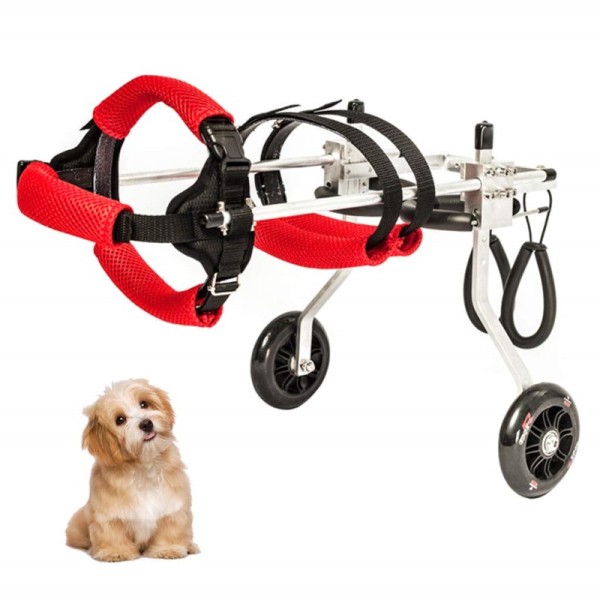 Dog Wheelchair for Teddy Puppy