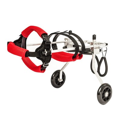 Dog Wheelchair for Teddy Puppy