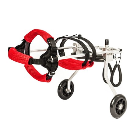 Dog Wheelchair for Teddy Puppy