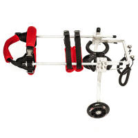 Dog Wheelchair for Teddy Puppy