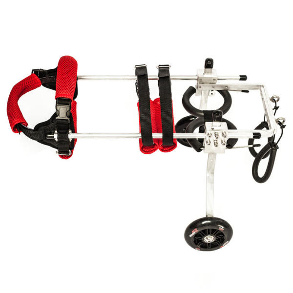 Dog Wheelchair for Teddy Puppy