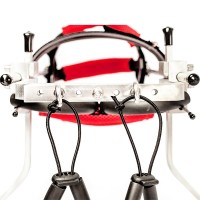 Dog Wheelchair for Teddy Puppy
