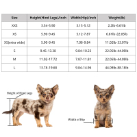 Dog Wheelchair for Teddy Puppy