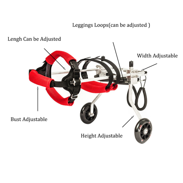 Dog Wheelchair for Teddy Puppy