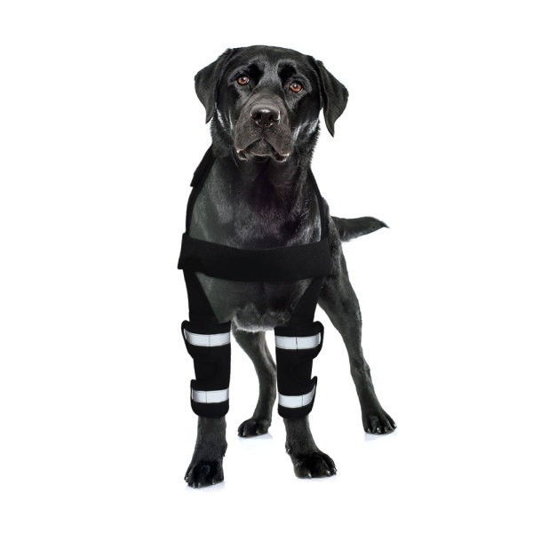 Dog Elbow Brace Protector Wraps Post Elbow Surgery Elbow Injury