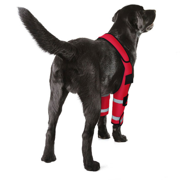 Dog Elbow Brace Protector Wraps Post Elbow Surgery Elbow Injury