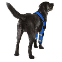 Dog Elbow Brace Protector Wraps Post Elbow Surgery Elbow Injury