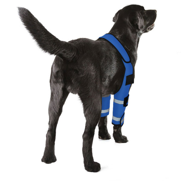 Dog Elbow Brace Protector Wraps Post Elbow Surgery Elbow Injury