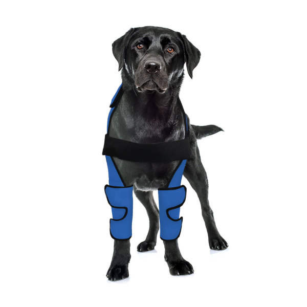Dog Elbow Brace Protector Wraps Post Elbow Surgery Injury