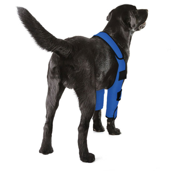 Dog Elbow Brace Protector Wraps Post Elbow Surgery Injury