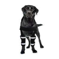 Dog Elbow Braces Protector Bracing Wraps Post Elbow Surgery Injury