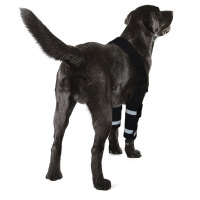 Dog Elbow Braces Protector Bracing Wraps Post Elbow Surgery Injury