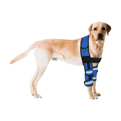 Dog Elbow Braces Protector Bracing Wraps Post Elbow Surgery Injury