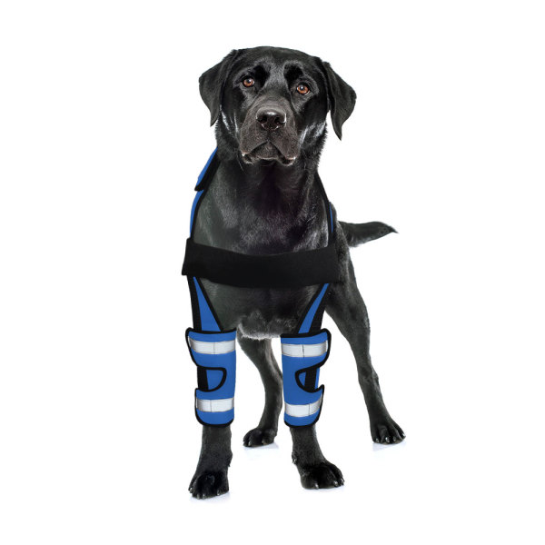 Dog Elbow Braces Protector Bracing Wraps Post Elbow Surgery Injury
