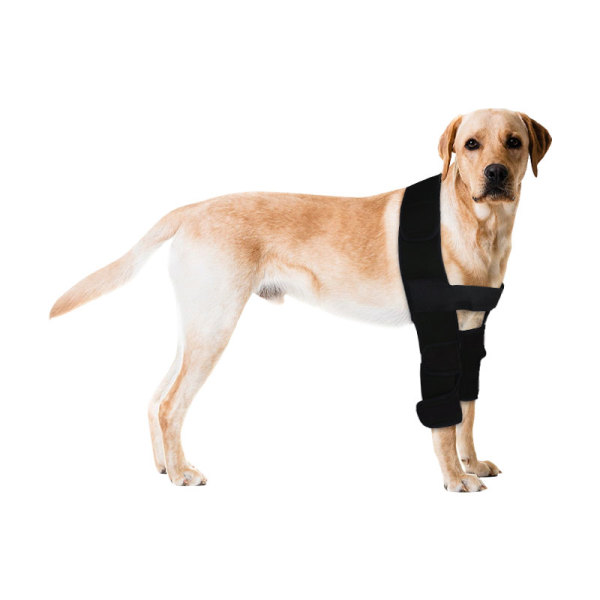Elbow Brace for Dog Post Elbow Surgery Injury
