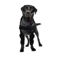 Elbow Brace for Dog Post Elbow Surgery Injury